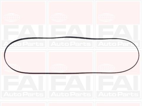 FAI AUTOPARTS Прокладка, крышка головки цилиндра RC921S